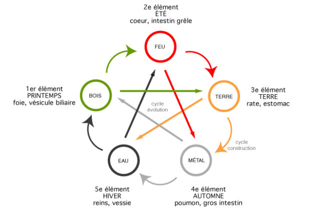 cicle 5elements